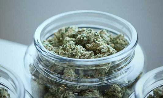 Georgia Cannabis Laws