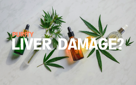 Research Shows CBD Could Cause Liver Damage