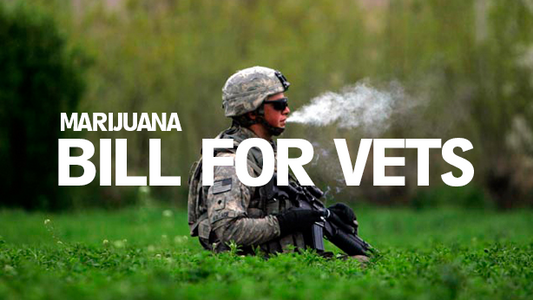 For Military Vets, Two Marijuana Bills Up for a Vote